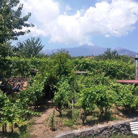 밀로 Sorbello Dell'Etna 빌라 외부 사진